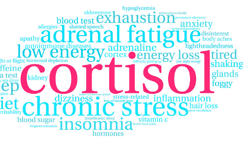 Stress Hormones