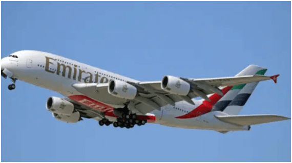 Emirates: Aircraft and Passengers Safe After Flamingo Incident